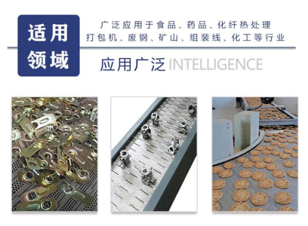 链板输送机(图5) 链板输送机(图5)